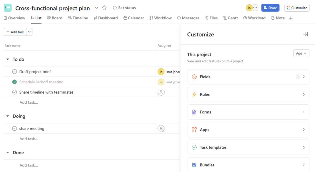 Asana project customization options